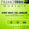 Primotrax Worship & Oasis Worship - Cry Out To Jesus - Worship Primotrax - Performance Tracks